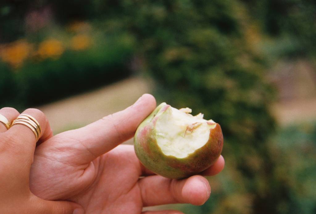 0003272_0003272-R12-036-16A