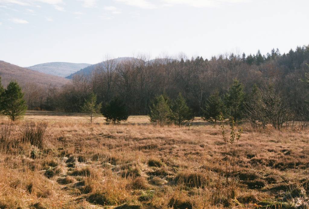 0013545_0013545-R1-E007