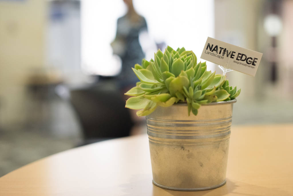 Photo Invitro_DSC_2152