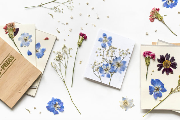 botanical holiday cards, crafts for kids