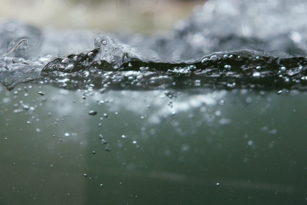 Pesticides in Water Are More Widespread Than You Think